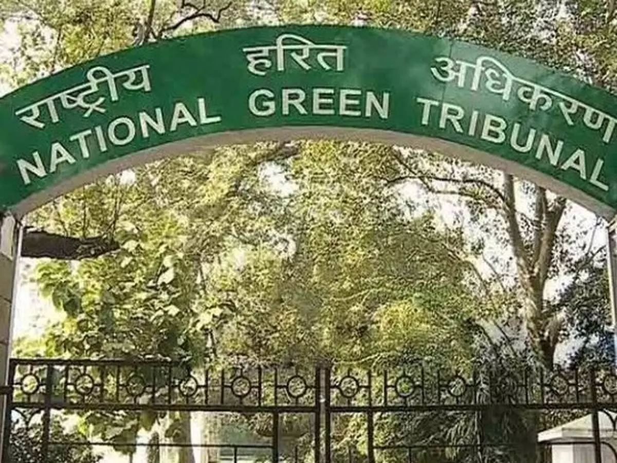 NGT issues notice to Centre, state on eco-tourism in Satkosia Tiger Reserve