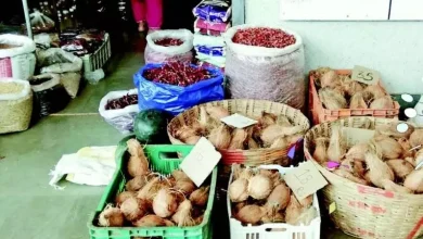 Housewives of Ponda troubled by rising prices of coconut