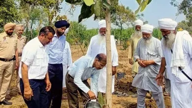 International Forest Day celebrated in Tarn Taran