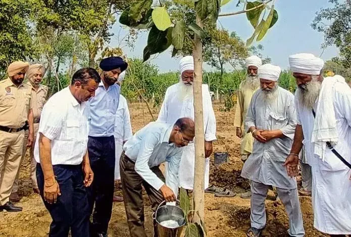 International Forest Day celebrated in Tarn Taran