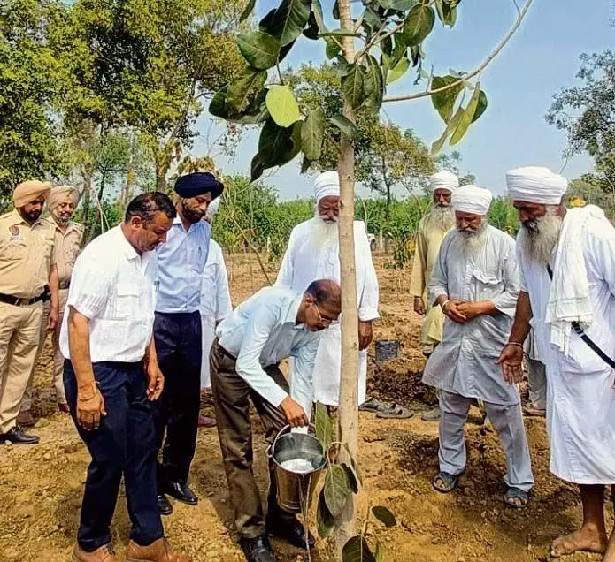 International Forest Day celebrated in Tarn Taran