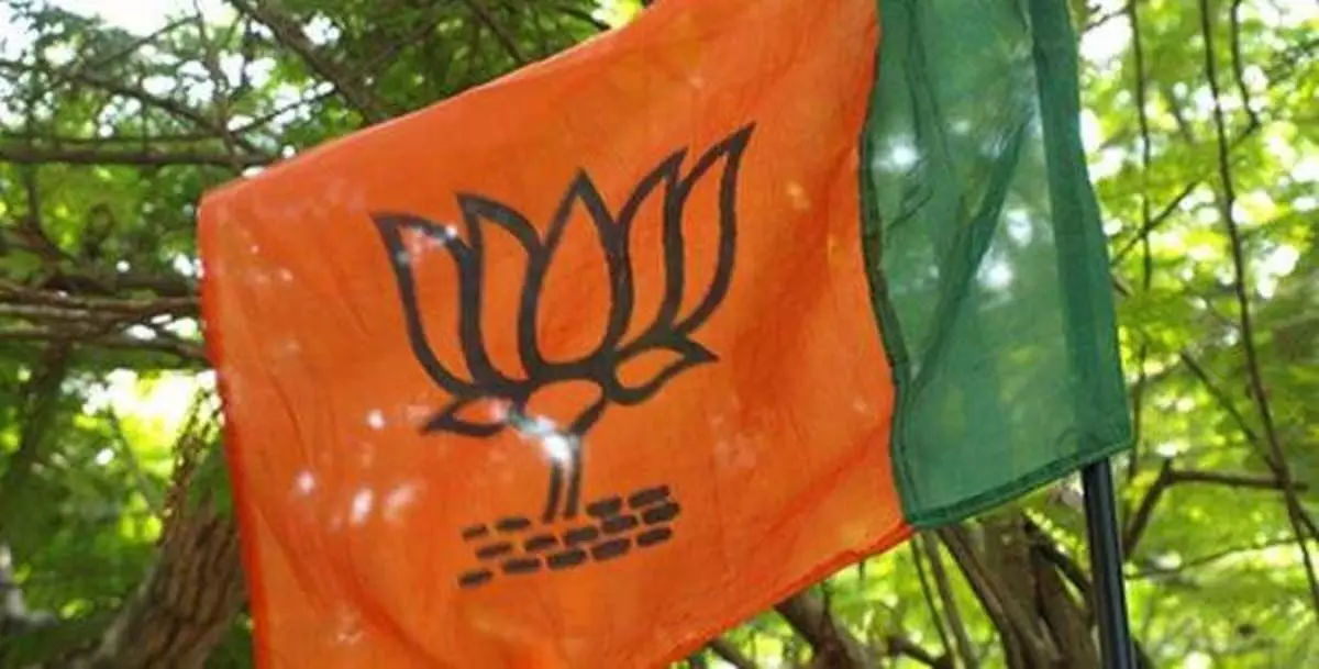 BJP will contest Lok Sabha elections on its own: State BJP chief Sunil Jakhar