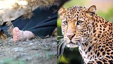 Nainital: Girl missing under suspicious circumstances, villagers say leopard took her away
