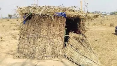 Dead body of woman found in hut, injury marks found on body