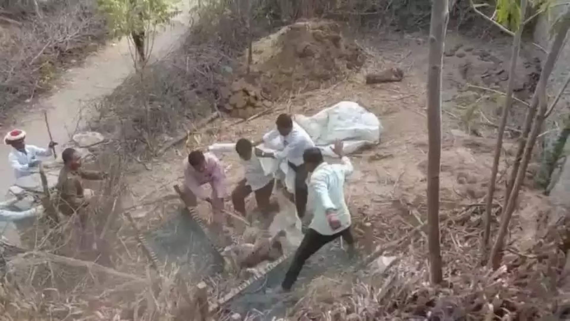 Leopard attacked and injured two brothers working on the farm