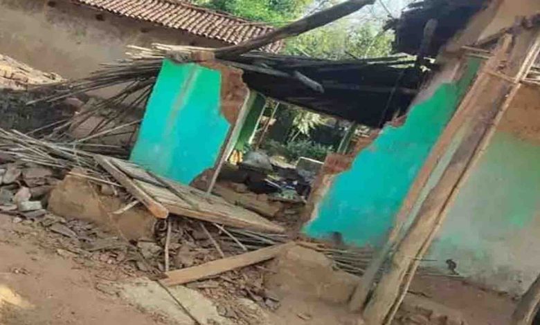 Elephant havoc in residential area, 4 families rendered homeless