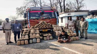 Ganja worth Rs 75 lakh seized from truck, hidden in vegetable cart