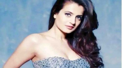 Court gave this big order to Ameesha Patel in check bounce case