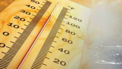 Government geared up to deal with heat diseases