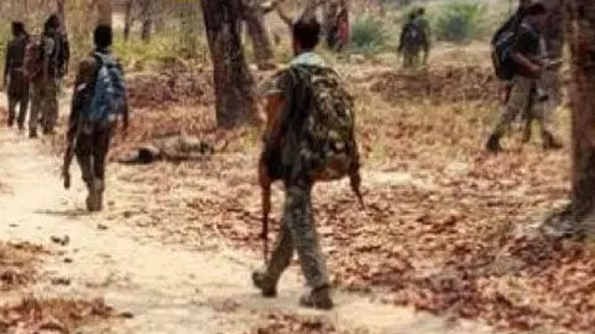 Naxalite commander killed, weapons recovered from encounter site