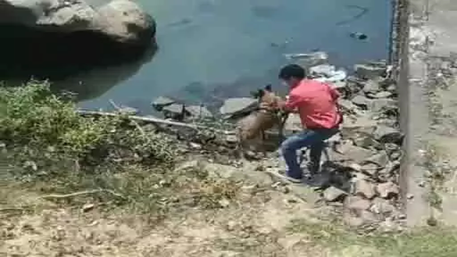 Half-dead body of a young man found under the bridge, sensation spread