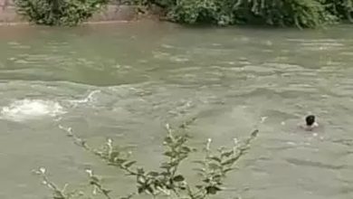 Laborer drowned in canal, Kotwali police searching