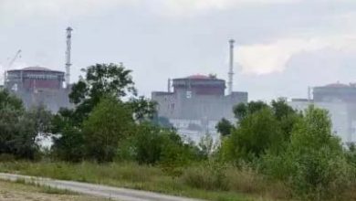 Nuclear security at risk due to attack on Zaporizhia nuclear plant: IAEA chief