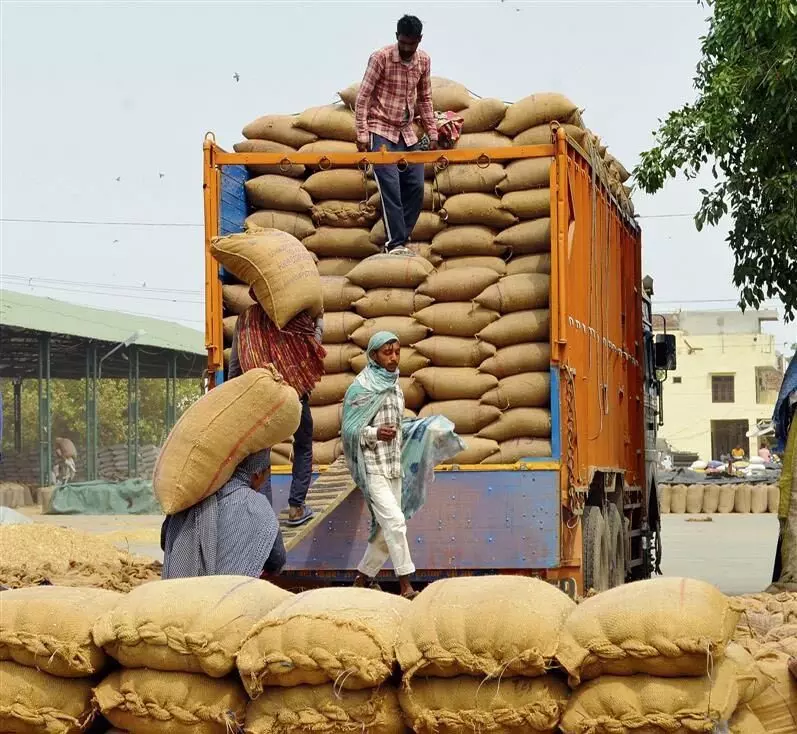 6.94 lakh metric tonnes of wheat reached the markets after harvesting was almost over