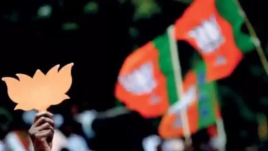 BJP's promises for Odisha get mixed response