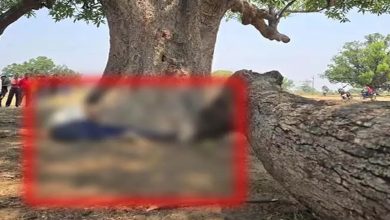 Dead body of a young man found under a tree, sensation spread in the village