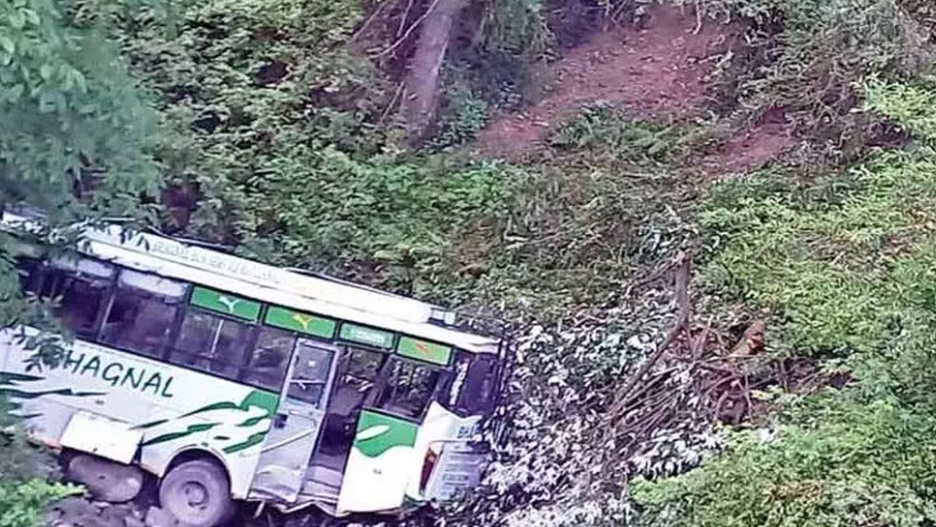 Private bus falls into ditch, driver dies