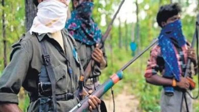 Naxalites killed two brothers, put them to death in public court