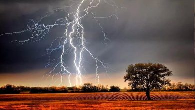 Girl goes out to vote for the first time, dies due to lightning