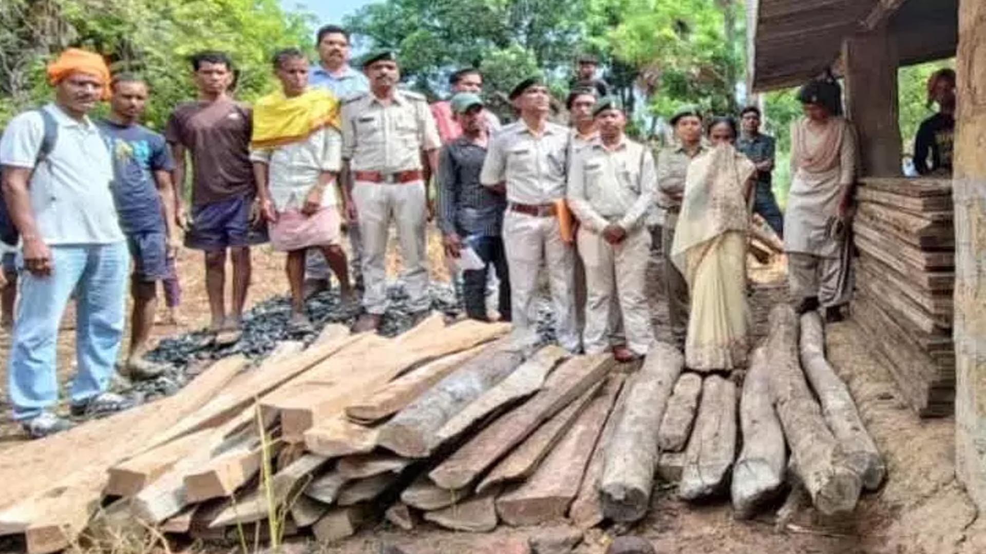 Teak wood worth Rs 2 lakh seized, forest department raids villagers here