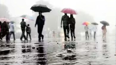 It will rain in Delhi, IMD issues yellow alert in these states