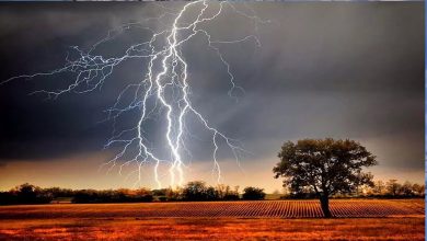 Lightning fell on uncle and nephew, one died