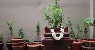 Do Tulsi remedies on Vaishakh Purnima, you will be blessed with wealth