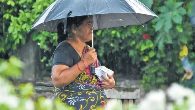 Andhra News: Thunderstorms likely in parts of Andhra Pradesh till June 11