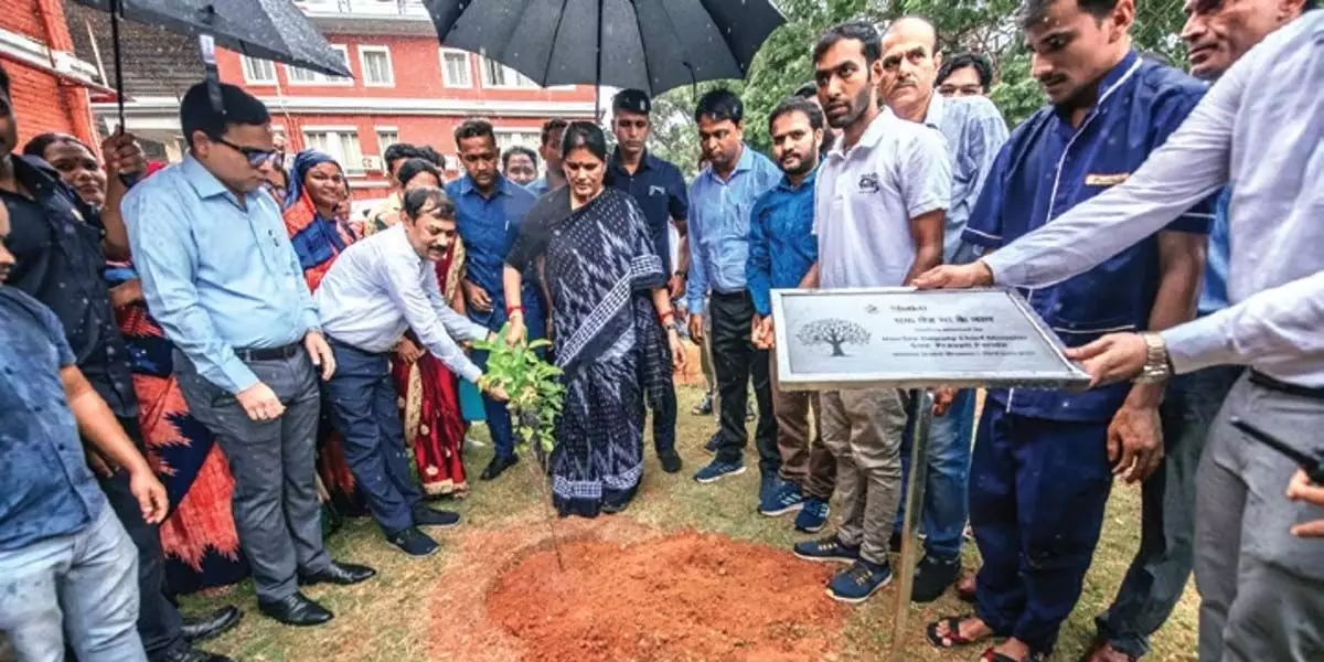 Pravati Parida: Self-help groups in Odisha will plant 2.5 crore saplings