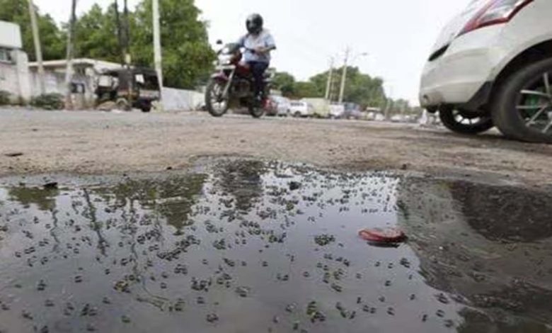 Malaria Case: Six cases of malaria before monsoon