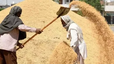 Telangana: Congress government sets record in grain procurement in southern states