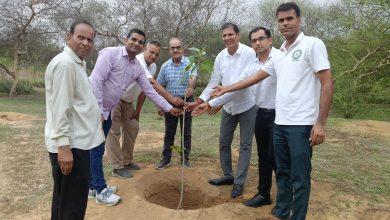 Churu: Plantation done in the Nature Park located at the district headquarters