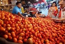 Sharp rise in tomato prices