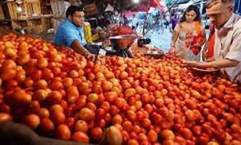 Sharp rise in tomato prices