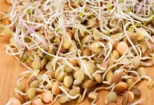 Life Style: Sprouted grains are a treasure trove of nutrients