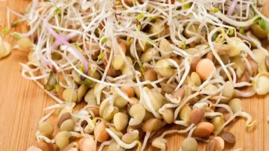 Life Style: Sprouted grains are a treasure trove of nutrients