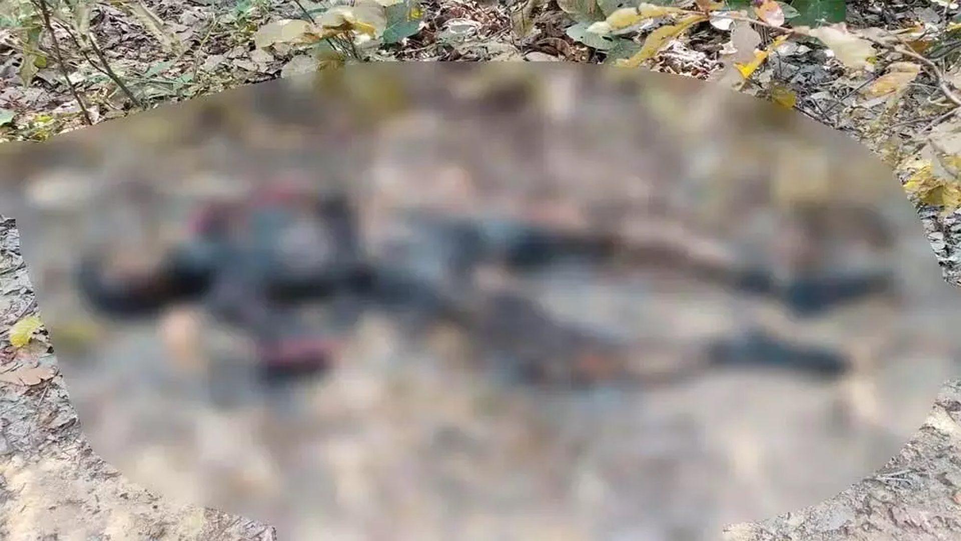 Half-burnt body of youth found in CG, police identified it