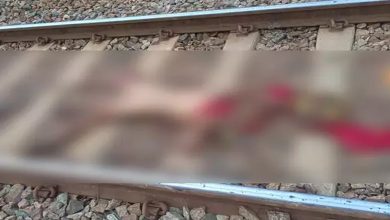 Woman found cut into pieces on railway track, suspected to have been murdered and thrown away