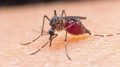 CG NEWS: Malaria is taking lives, 2 innocent brothers die