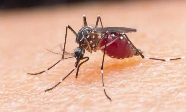 CG NEWS: Malaria is taking lives, 2 innocent brothers die