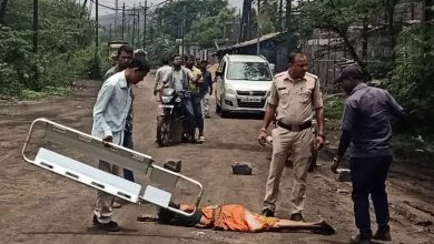 Raipur: Driver runs away after crushing woman