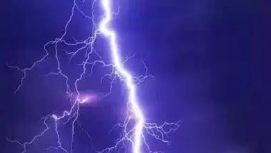 UP: 52 people died due to lightning in different districts