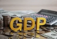 Statistics Ministry will work with states on local GDP data