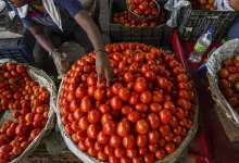 Tomato and poultry prices fell