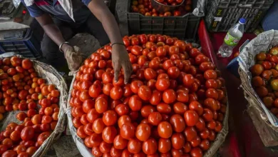 Tomato and poultry prices fell