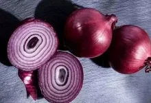 From today, the government will sell onions in Delhi-NCR at the rate of 35 rupees per kg