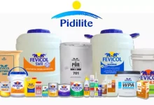 Pidilite Industries Q2 Results: Profit up 18.75%