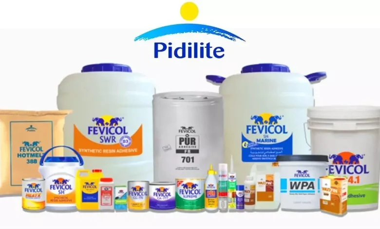 Pidilite Industries Q2 Results: Profit up 18.75%