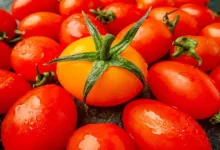 Tomato will be sold at Rs 65 per kg, Central Government's decision