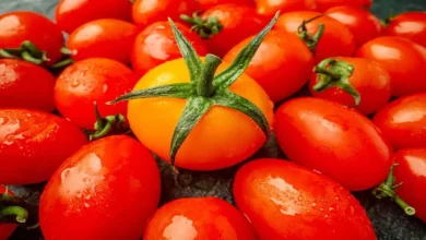 Tomato will be sold at Rs 65 per kg, Central Government's decision